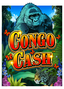 เล่นเกมสล็อต roma แบบ ทดลอง ฟรี เพื่อความสนุกและฝึกฝน